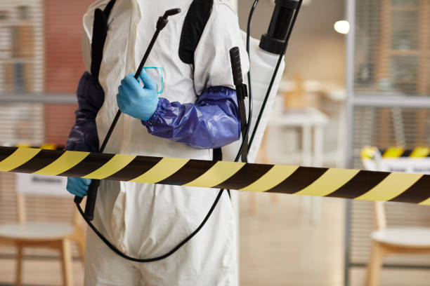 Professional Odor Removal technician working in Angelus Oaks, CA